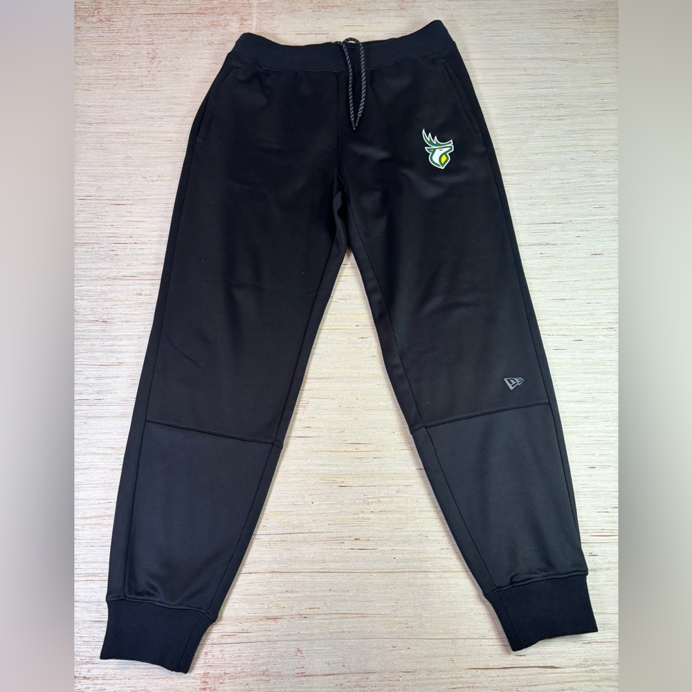 New Era Edmonton Elks CFL Official Sideline Joggers | Men’s Medium Black Green